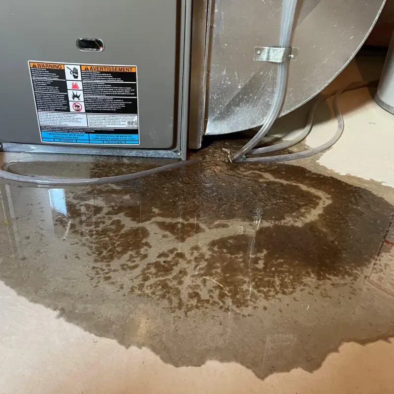 Appliance Leak Cleanup in Arab, AL